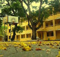 PowerPoint Âm nhạc 1 Tuần 12 Chủ đề 3: Mái trường thân yêu