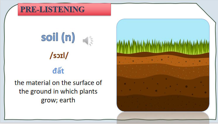 Giáo án Tiếng Anh 11 Unit 5: Listening