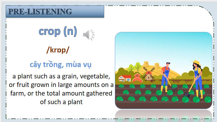Giáo án Tiếng Anh 11 Unit 5: Listening