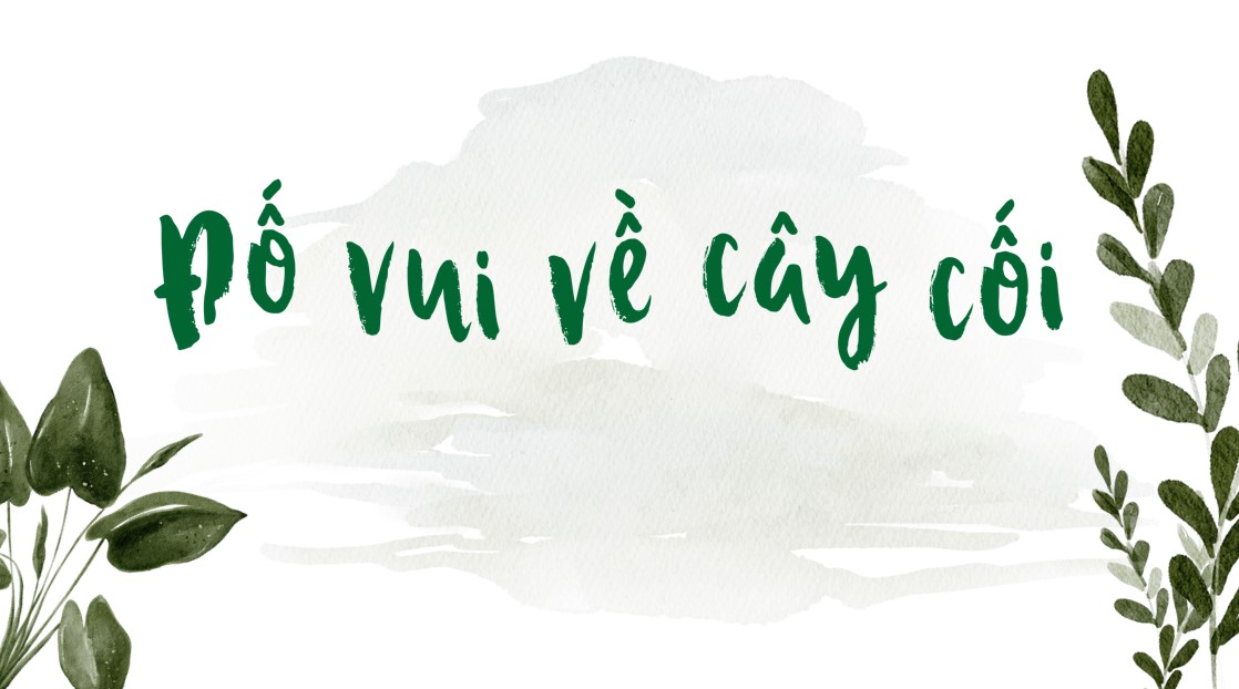 powerpoint ngu van 7 bai 9 cay tre viet nam1*539649