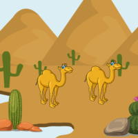 PowerPoint Tiếng Việt 3 Bài 12: Phép mầu trên sa mạc