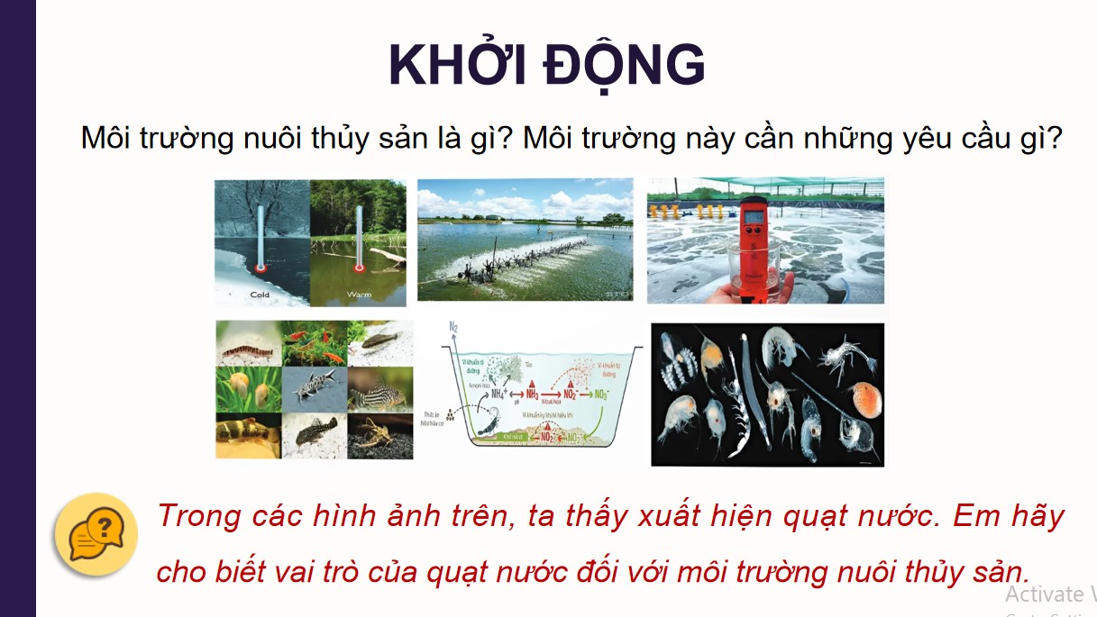 ppt cong nghe 12 kntt bai 10 1*540301