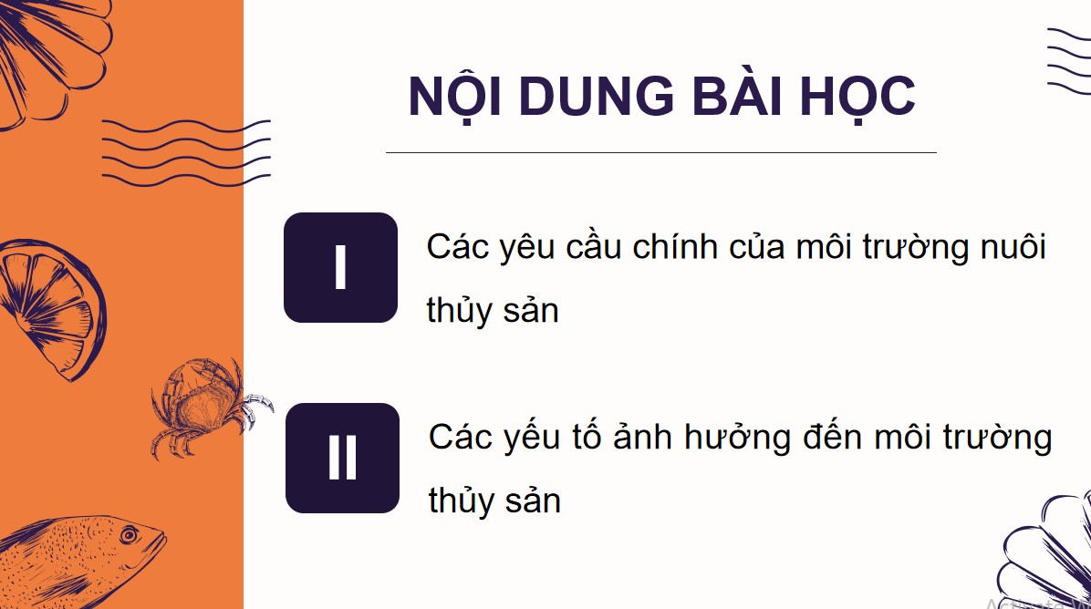 ppt cong nghe 12 kntt bai 10 3*540300