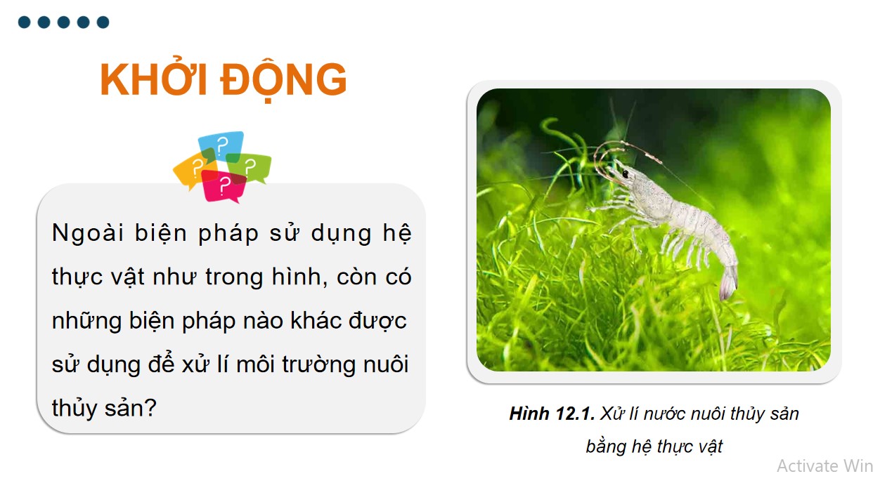 ppt cong nghe 12 kntt bai 12 1*540315