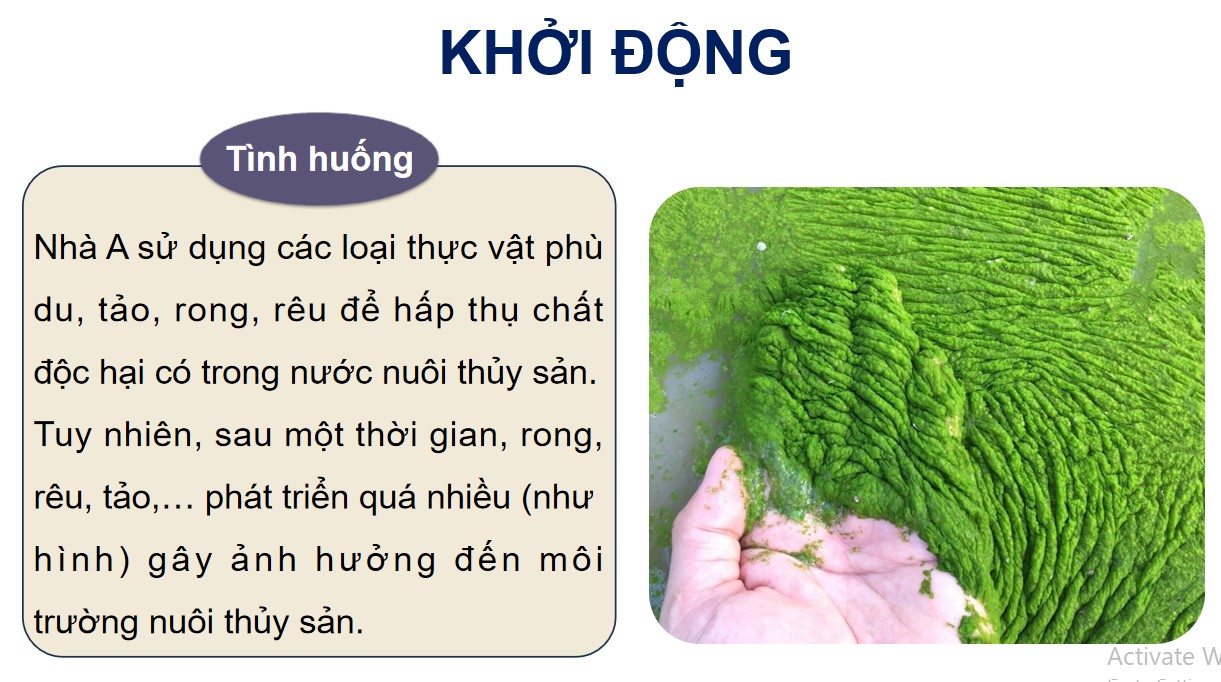 ppt cong nghe 12 kntt bai on tap c5 1*540330