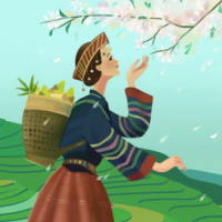 PowerPoint Tiếng Việt 3 Bài 14: Nhớ Việt Bắc