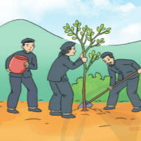 PowerPoint Tiếng Việt 3 Bài 14: Kể chuyện Rừng gỗ quý