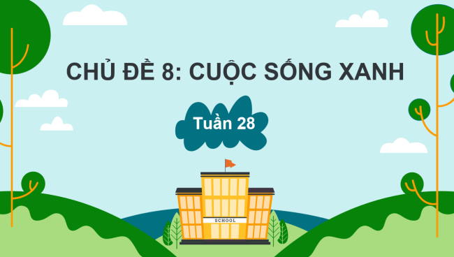 PowerPoint Hoạt động trải nghiệm 3 Tuần 28