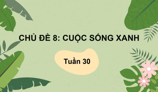 PowerPoint Hoạt động trải nghiệm 3 Tuần 30