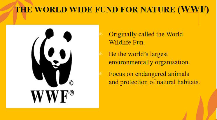 Tiếng Anh 10 Unit 9: Writing