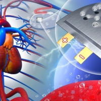 PowerPoint Khoa học tự nhiên 6 Bài 9: Oxygen