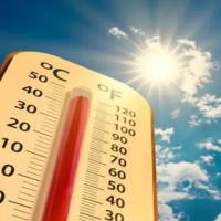 PowerPoint Khoa học tự nhiên 6: Ôn tập chủ đề 1