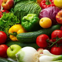 PowerPoint Khoa học tự nhiên 6: Ôn tập chủ đề 4