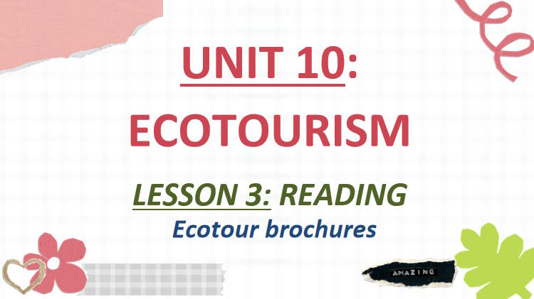 Giáo án Tiếng Anh 10 Unit 10: Reading