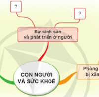 PowerPoint Tự nhiên và xã hội 1 bài 25: Ôn tập chủ đề Con người và sức khỏe