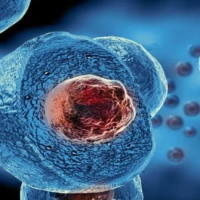 PowerPoint Khoa học tự nhiên 6 Bài 17: Tế bào