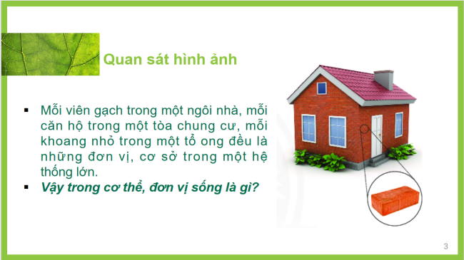 PowerPoint Khoa học tự nhiên 6 Bài 17: Tế bào
