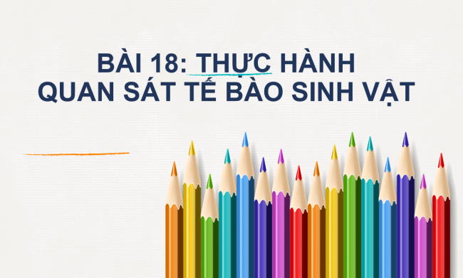 PowerPoint Khoa học tự nhiên 6 Bài 18: Thực hành quan sát tế bào sinh vật