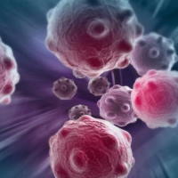 PowerPoint Khoa học tự nhiên 6 Bài 18: Thực hành quan sát tế bào sinh vật