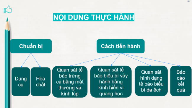 PowerPoint Khoa học tự nhiên 6 Bài 18: Thực hành quan sát tế bào sinh vật
