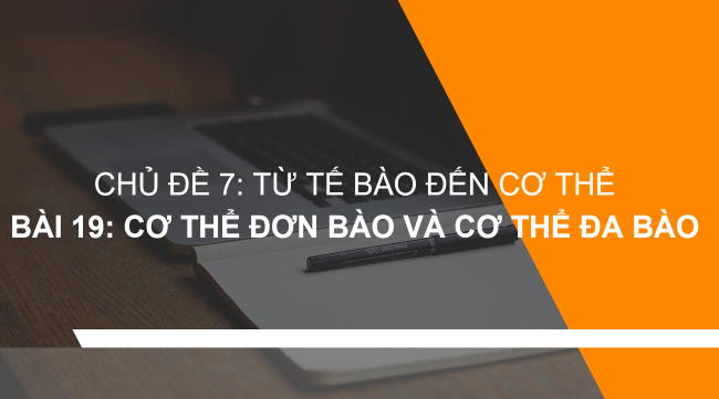 PowerPoint Khoa học tự nhiên 6 Bài 19: Cơ thể đơn bào và cơ thể đa bào