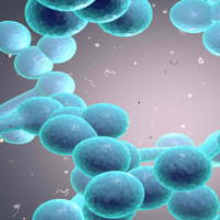 PowerPoint Khoa học tự nhiên 6 Bài 19: Cơ thể đơn bào và cơ thể đa bào