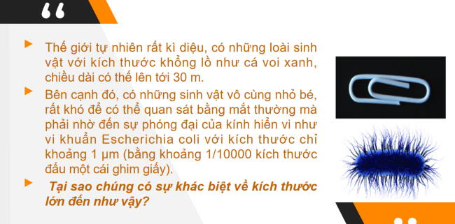 PowerPoint Khoa học tự nhiên 6 Bài 19: Cơ thể đơn bào và cơ thể đa bào