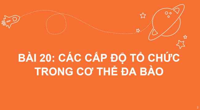 PowerPoint Khoa học tự nhiên 6 Bài 20: Các cấp độ tổ chức trong cơ thể đa bào