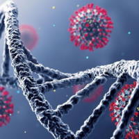 PowerPoint Khoa học tự nhiên 6 Bài 20: Các cấp độ tổ chức trong cơ thể đa bào