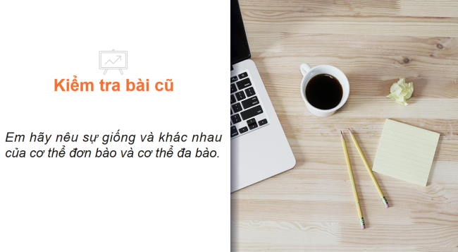 PowerPoint Khoa học tự nhiên 6 Bài 20: Các cấp độ tổ chức trong cơ thể đa bào