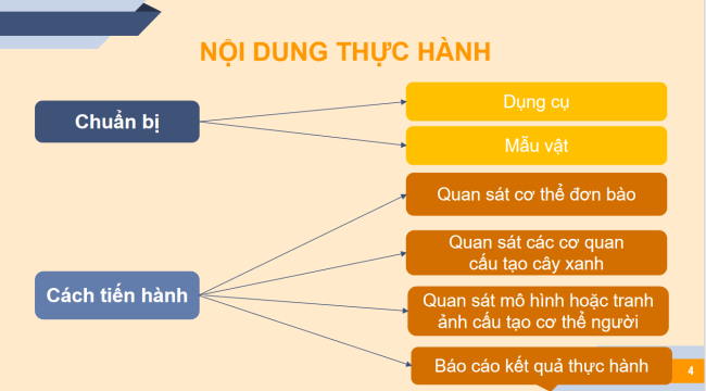 PowerPoint Khoa học tự nhiên 6 Bài 21: Thực hành quan sát sinh vật