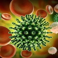 PowerPoint Khoa học tự nhiên 6 Bài 24: Virus