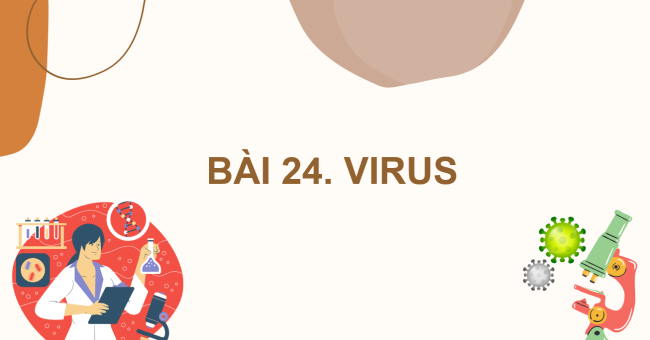 PowerPoint Khoa học tự nhiên 6 Bài 24: Virus