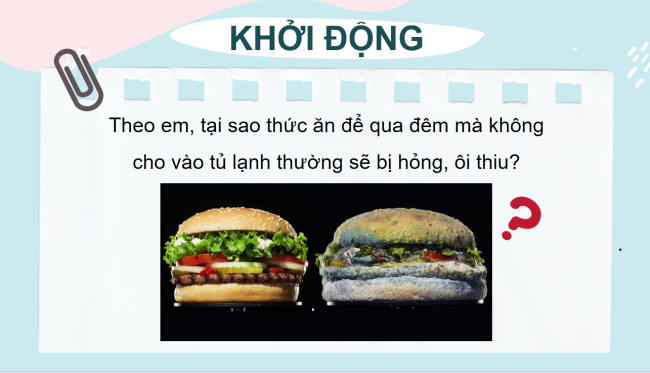 PowerPoint Khoa học tự nhiên 6 Bài 25: Vi khuẩn
