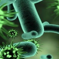 PowerPoint Khoa học tự nhiên 6 Bài 26: Thực hành quan sát vi khuẩn. Tìm hiểu các bước làm sữa chua