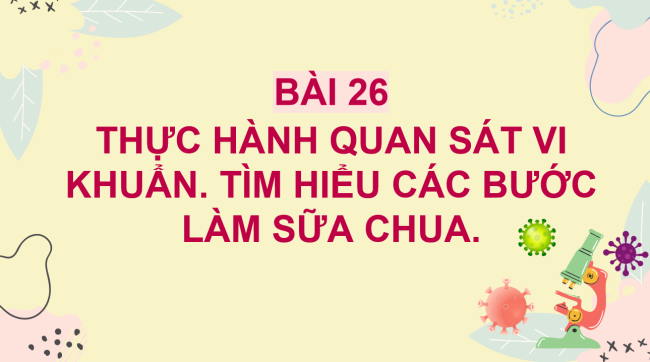 PowerPoint Khoa học tự nhiên 6 Bài 26: Thực hành quan sát vi khuẩn. Tìm hiểu các bước làm sữa chua