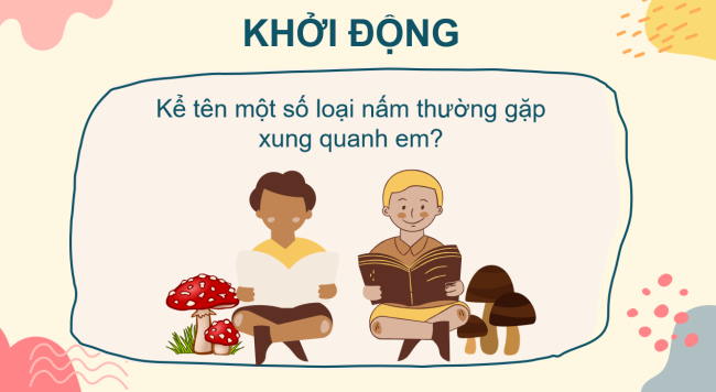 PowerPoint Khoa học tự nhiên 6 Bài 28: Nấm