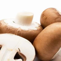 PowerPoint Khoa học tự nhiên 6 Bài 28: Nấm