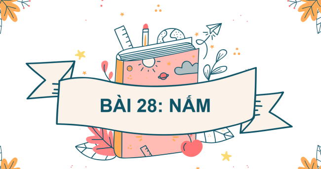 PowerPoint Khoa học tự nhiên 6 Bài 28: Nấm