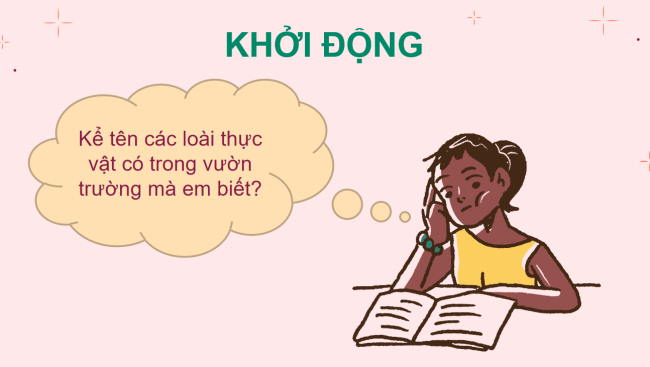 PowerPoint Khoa học tự nhiên 6 Bài 29: Thực vật