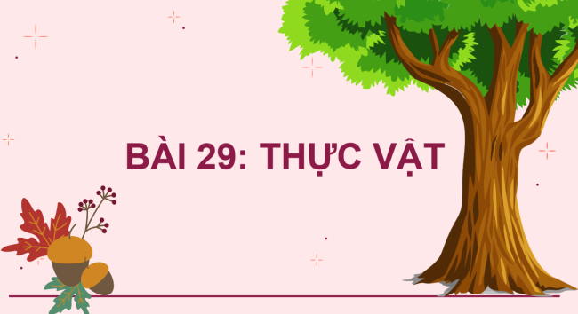 PowerPoint Khoa học tự nhiên 6 Bài 29: Thực vật