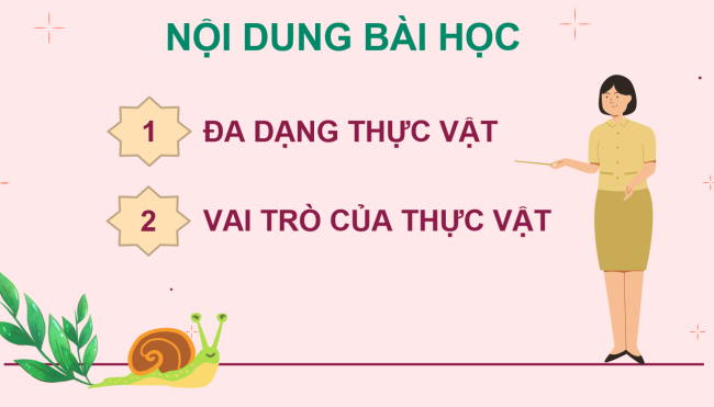 PowerPoint Khoa học tự nhiên 6 Bài 29: Thực vật