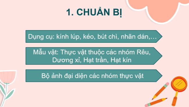 PowerPoint Khoa học tự nhiên 6 Bài 30: Thực hành phân loại thực vật