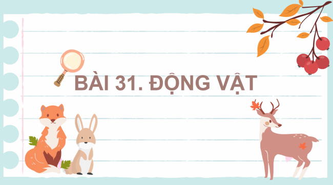 PowerPoint Khoa học tự nhiên 6 Bài 31: Động vật