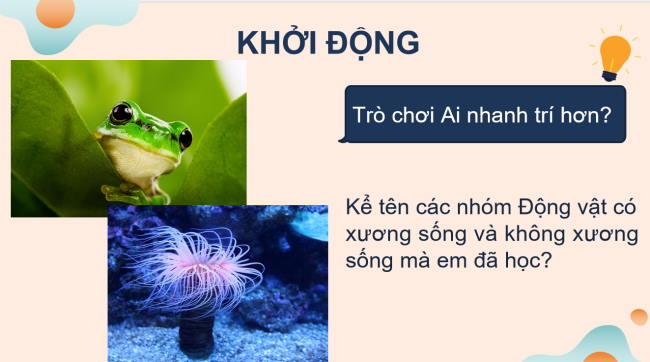 PowerPoint Khoa học tự nhiên 6 Bài 32: Thực hành quan sát và phân loại thực vật ngoài thiên nhiên