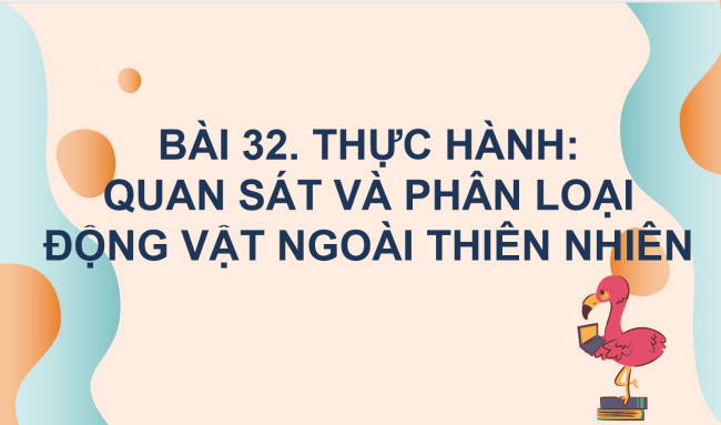 PowerPoint Khoa học tự nhiên 6 Bài 32: Thực hành quan sát và phân loại thực vật ngoài thiên nhiên