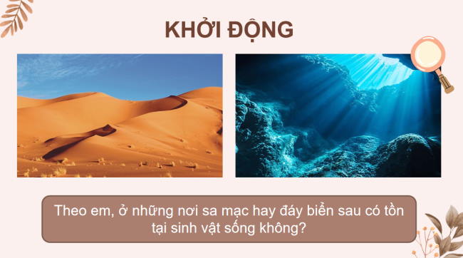 PowerPoint Khoa học tự nhiên 6 Bài 33: Đa dạng sinh học
