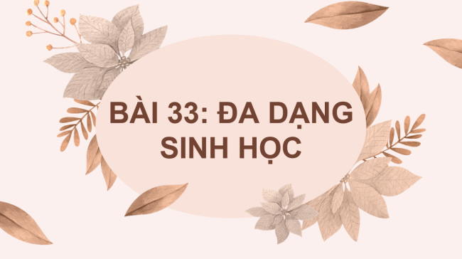 PowerPoint Khoa học tự nhiên 6 Bài 33: Đa dạng sinh học