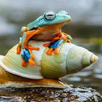 PowerPoint Khoa học tự nhiên 6 Bài 34: Tìm hiểu sinh vật ngoài thiên nhiên