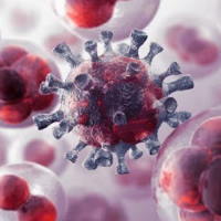 PowerPoint Khoa học tự nhiên 6: Ôn tập chủ đề 7